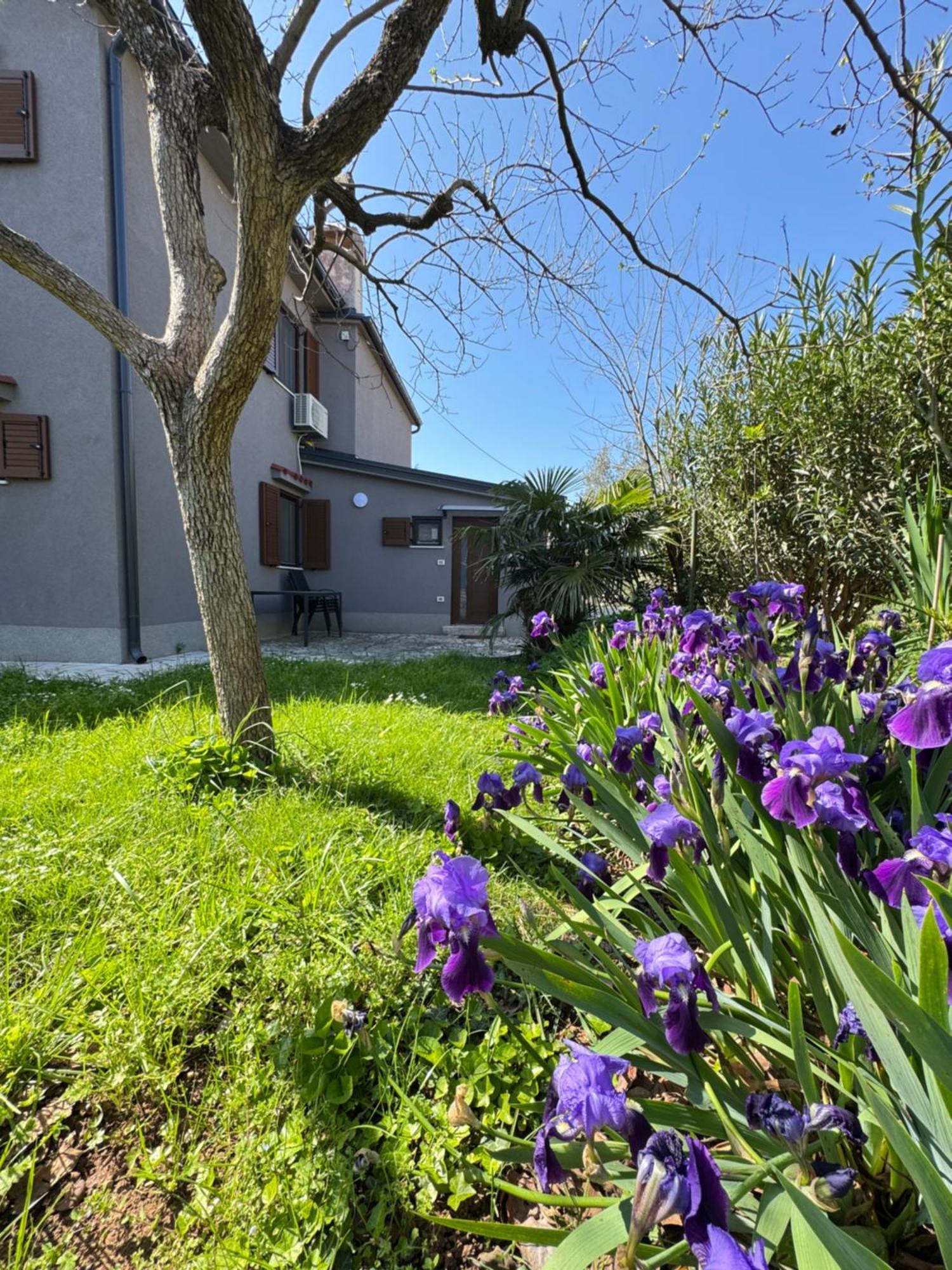 Flowers Medulin, Fucane 2 Appartement *